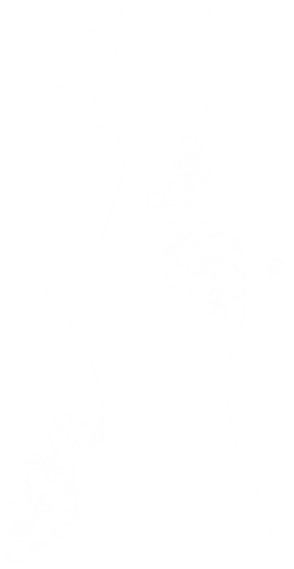 logo-emotionelles-blanc-favicon