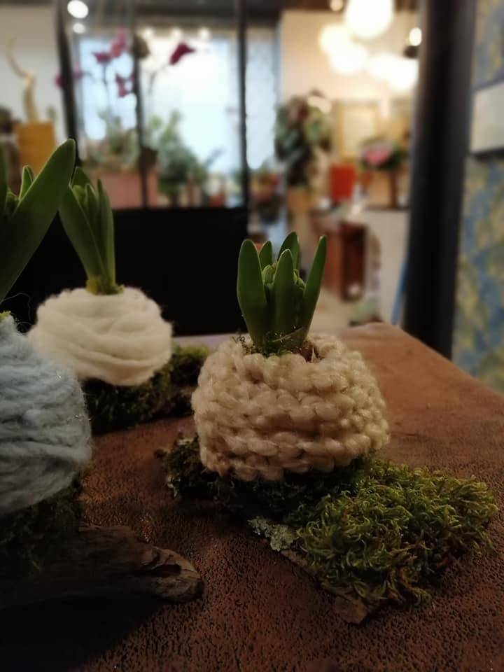 composition_plantes
