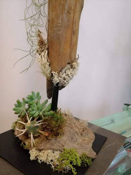 3-plante_exterieur-voiron-emotionelles_1
